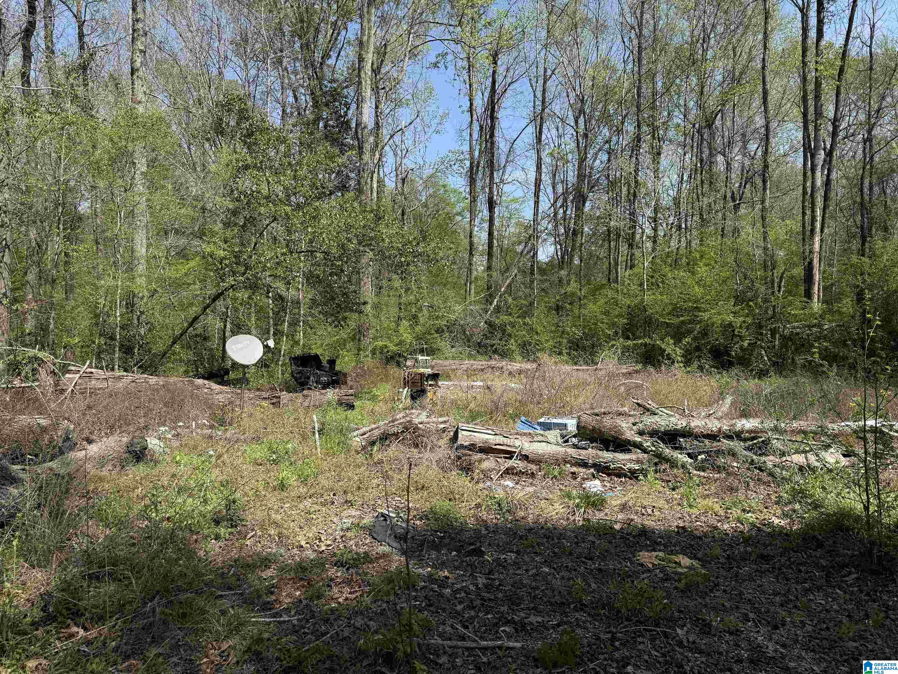 1781 Riverview Beach Road, Unit 1781 Moundville, AL 35474 - Photo 10 of 27