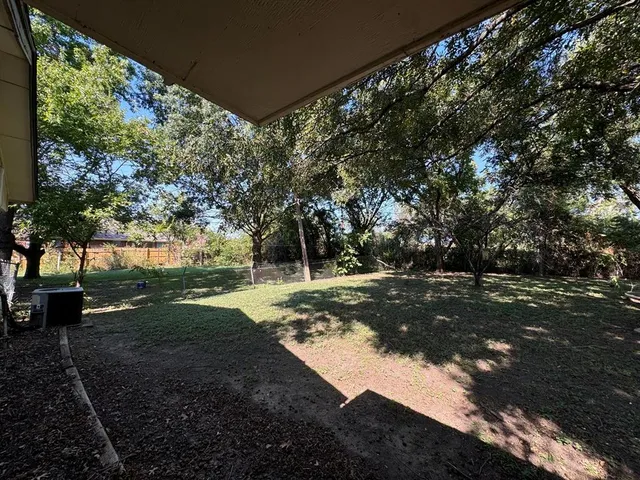 a view of a yard with plants and trees