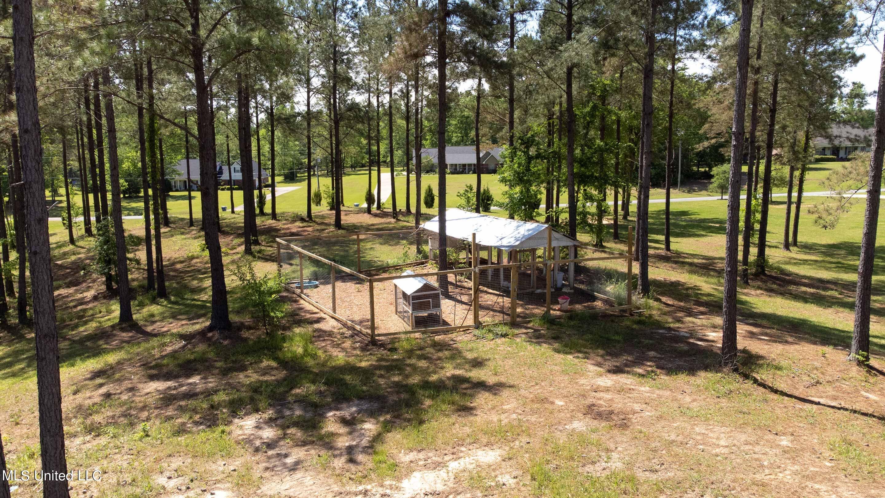 6364 Blind Brown Road Bailey, MS 39320 - Photo 49 of 61 6364-Blind-Brown-Rd-69