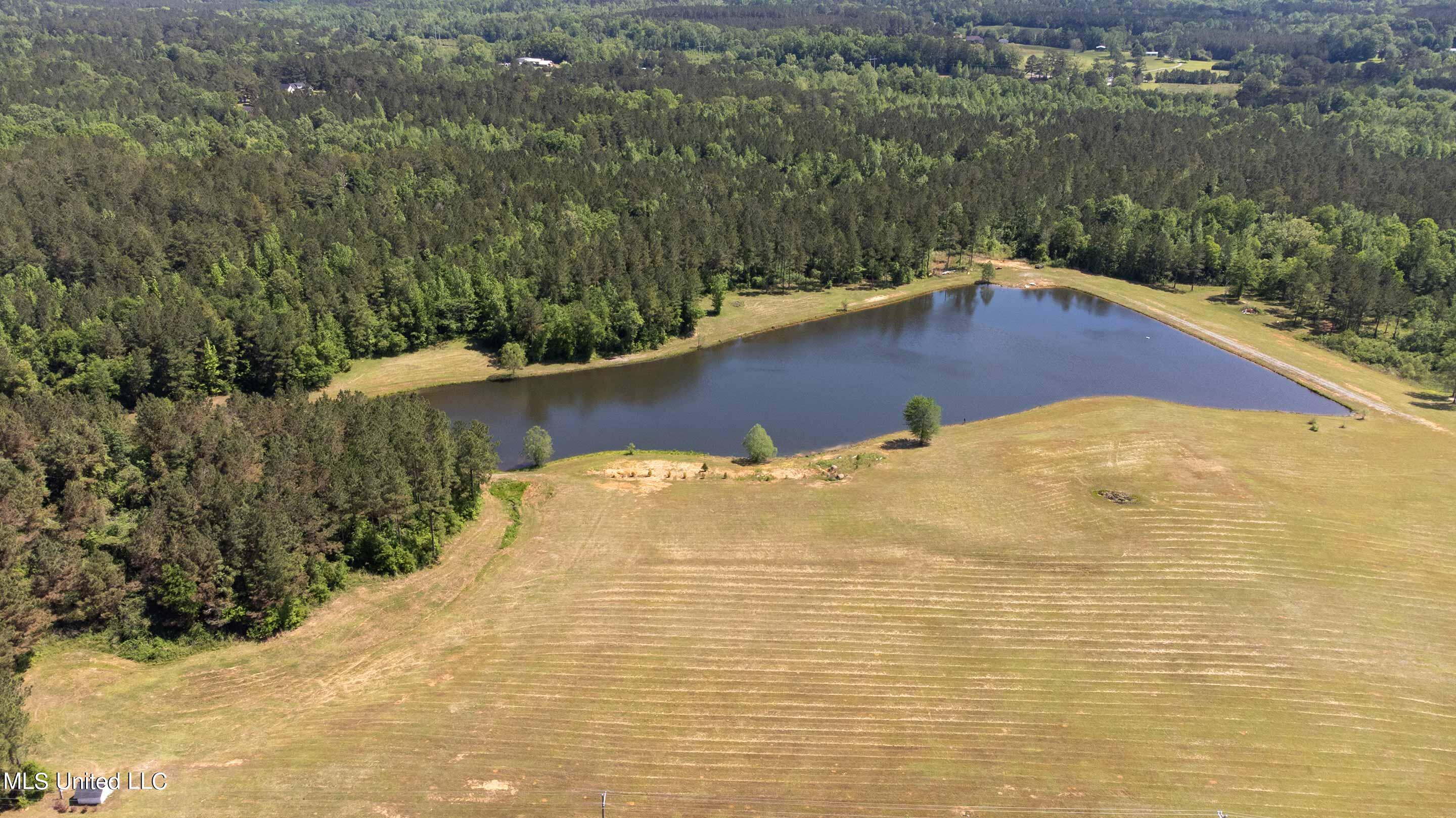 6364 Blind Brown Road Bailey, MS 39320 - Photo 56 of 61 6364-Blind-Brown-Rd-53