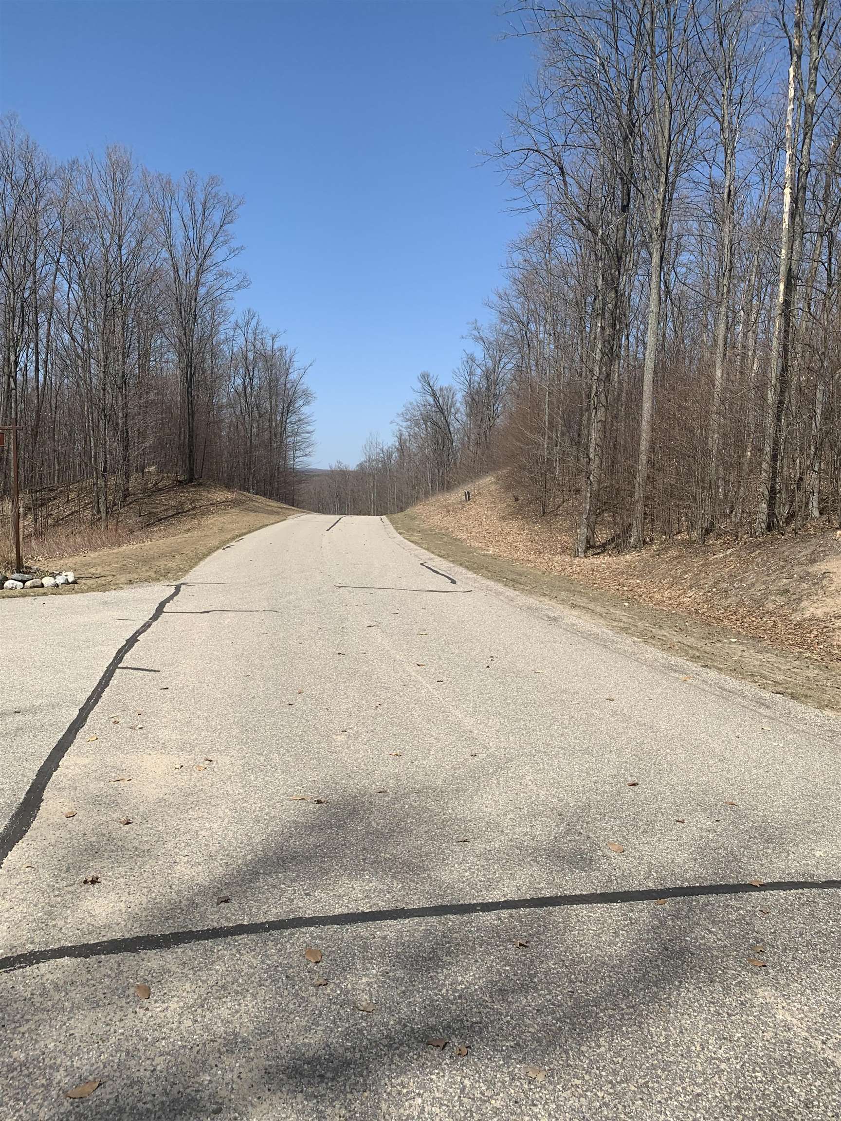 158 Raptor Run Bellaire, MI 49615 - Photo 6 of 6