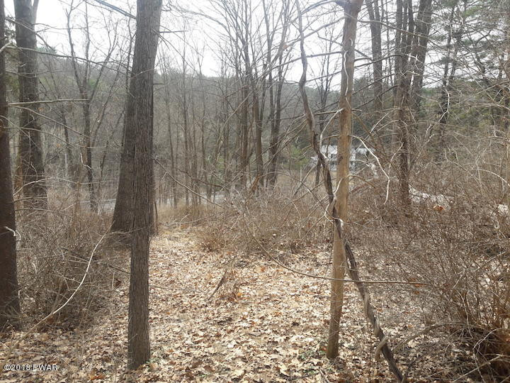 Christian Hill Road Milford, PA 18337 - Photo 6 of 22