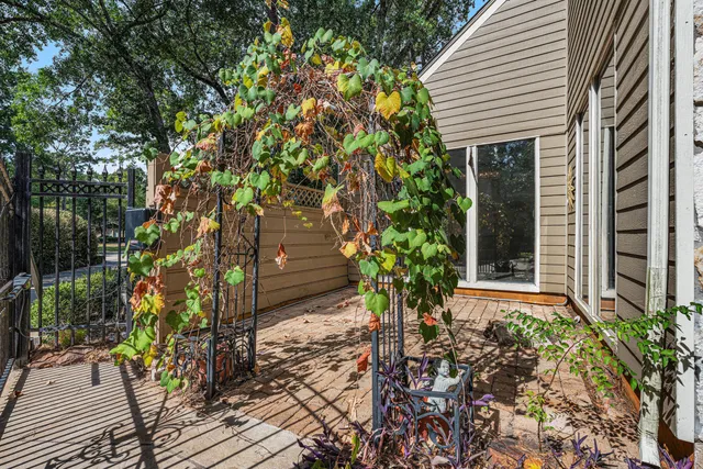a plant is in front of a house