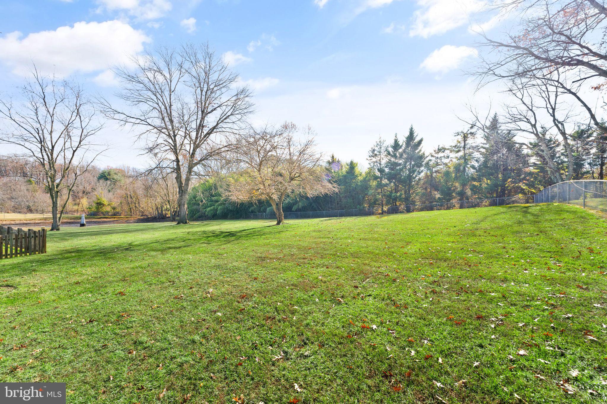 7905 Guy Drive Manassas, VA 20111 - Photo 67 of 78 Rear yard