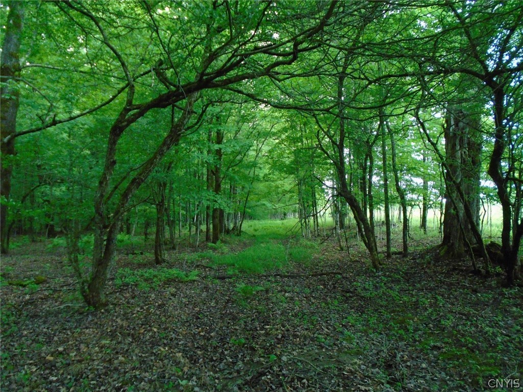 Lot B Pitcher Hill Road Pitcher, NY 13136 - Photo 8 of 29 Gallery Image 8