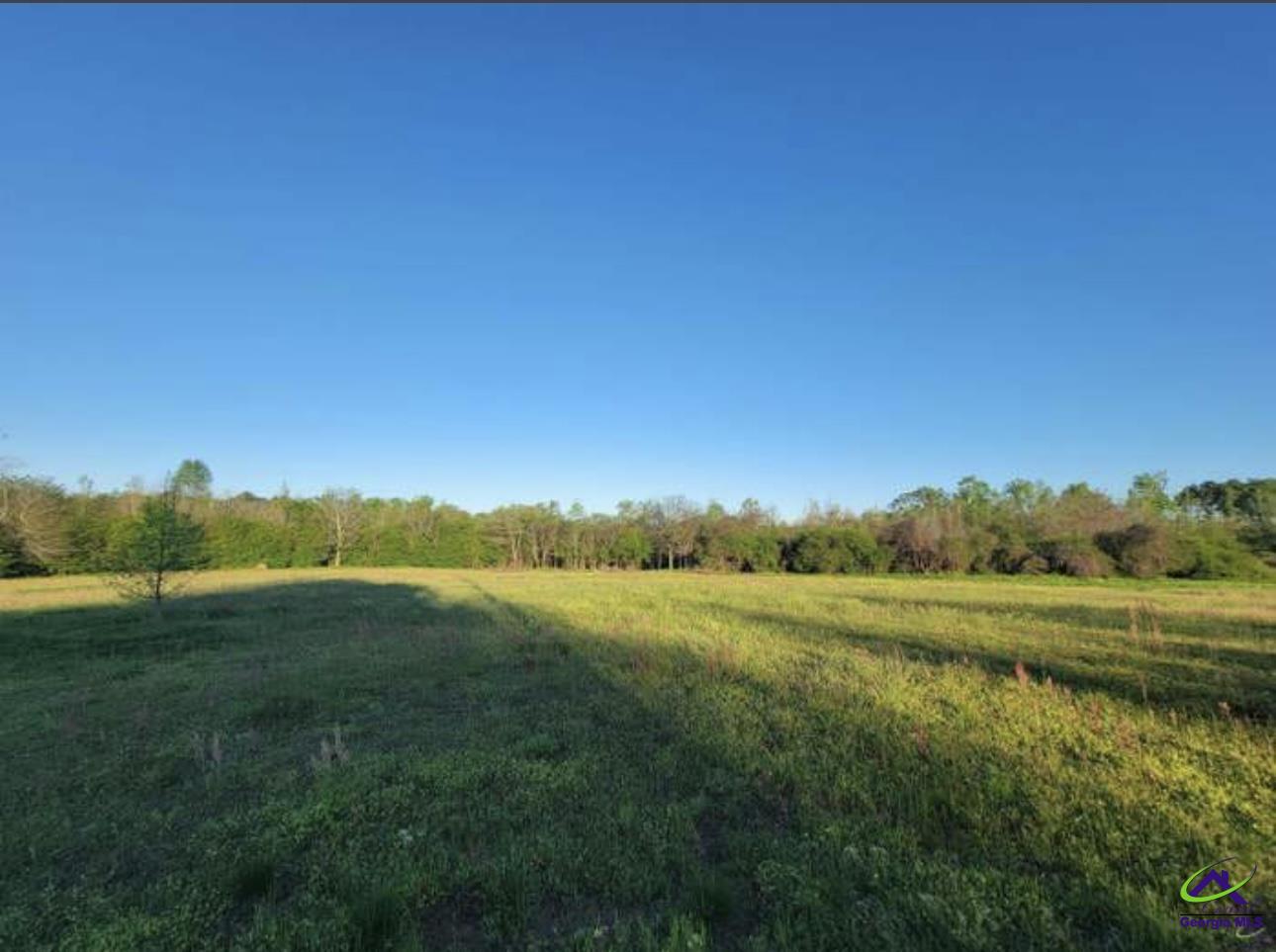222 Holt Road Hawkinsville, GA 31036 - Photo 6 of 10