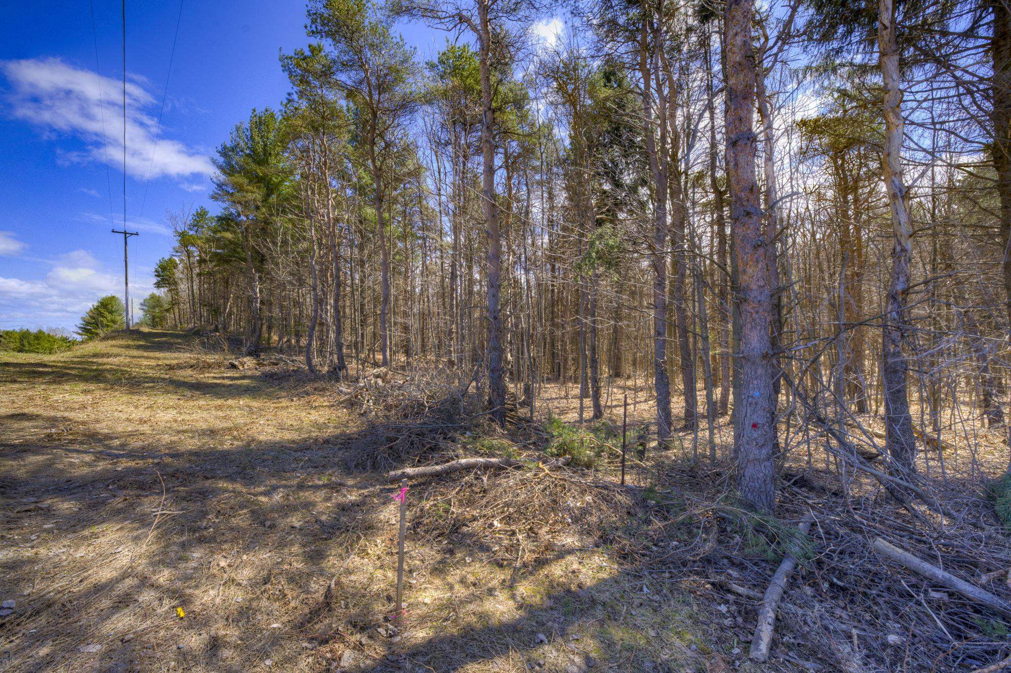 Parcel A East Bodus Road Cedar, MI 49621 - Photo 7 of 8
