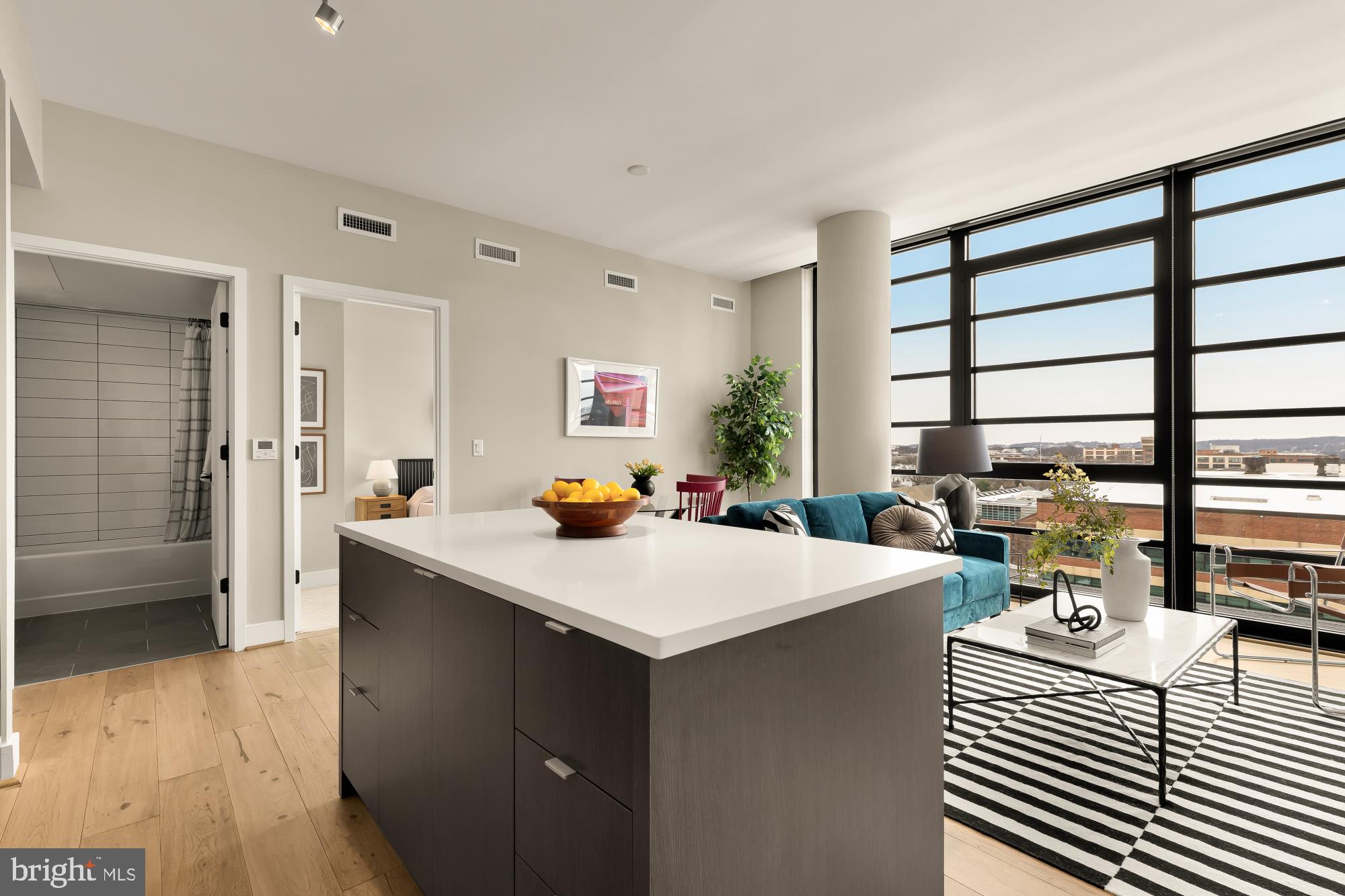 1300 4th Street Southeast, Unit 1014 Washington, DC 20003 - Photo 7 of 25