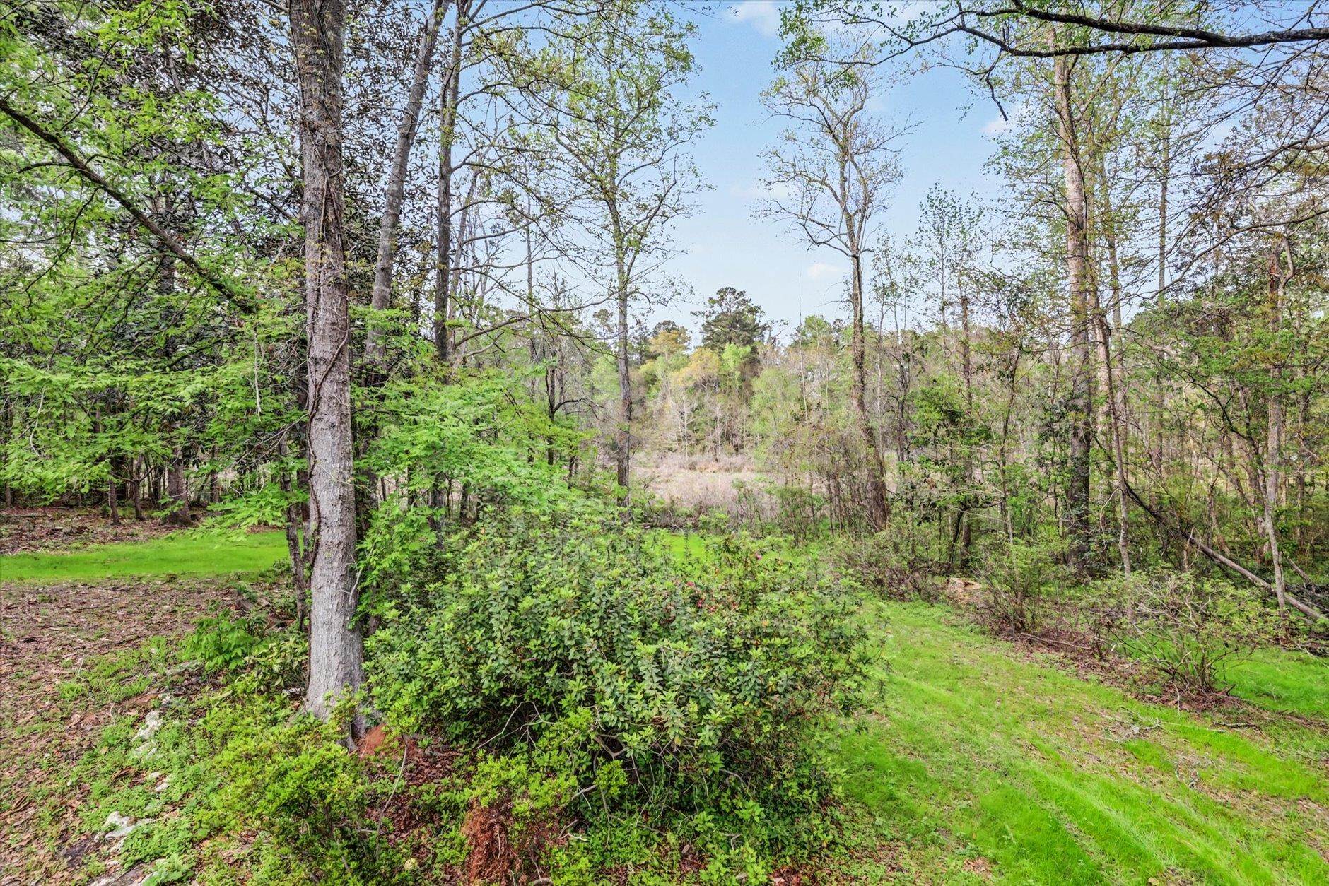 439 Beaver Lake Road Tallahassee, FL 32312 - Photo 11 of 70