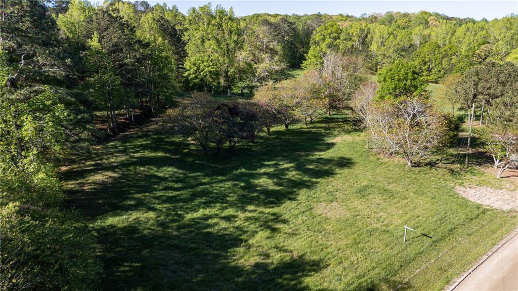 14260 Phillips Circle Milton, GA 30004 - Photo 12 of 16 a view of a yard