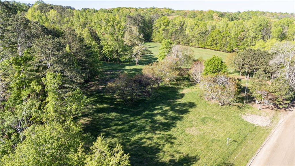 14260 Phillips Circle Milton, GA 30004 - Photo 10 of 16 a view of a forest with a lake