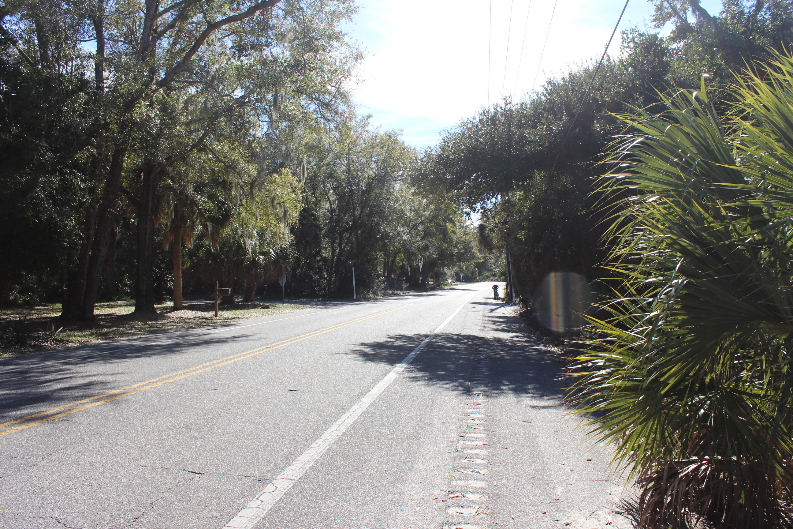 1405 Jungle Road Edisto Beach, SC 29438 - Photo 14 of 14 IMG_4884