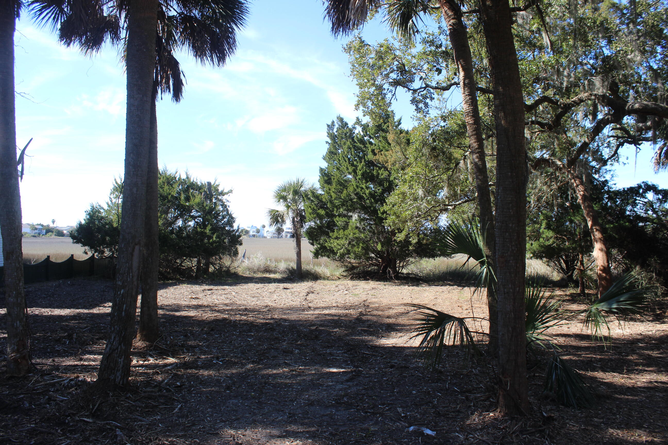 1405 Jungle Road Edisto Beach, SC 29438 - Photo 3 of 14 IMG_4871