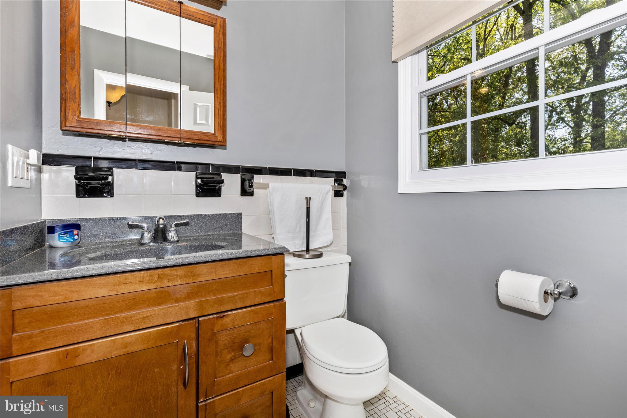 7946 Helmart Drive Laurel, MD 20723 - Photo 28 of 50 Primary full bath
