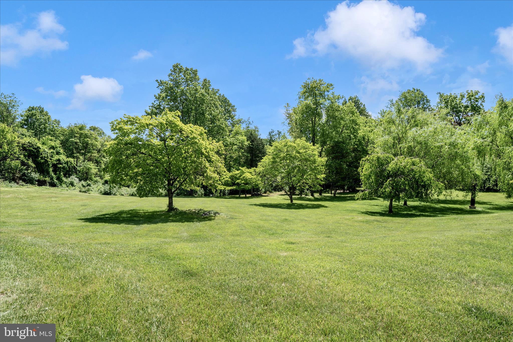9237 Frostown Road Middletown, MD 21769 - Photo 80 of 113 a backyard of a house with lots of green space