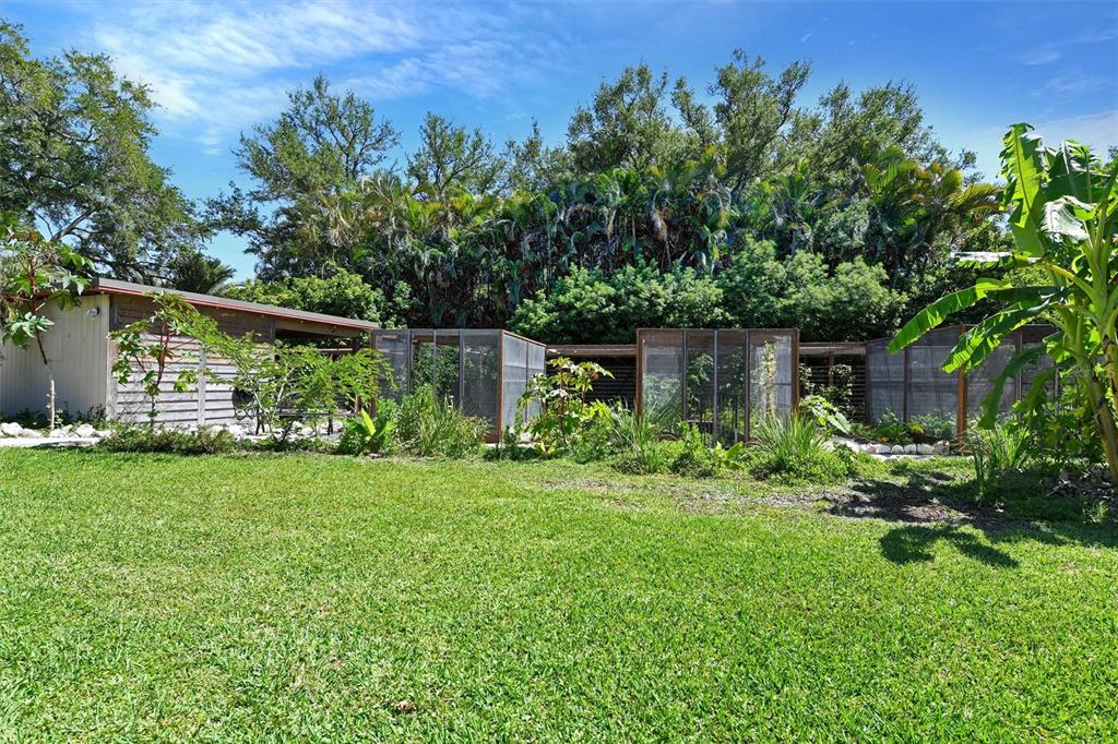 1875 Belleair Road Clearwater, FL 33764 - Photo 79 of 100 a view of a backyard with plants and a garden