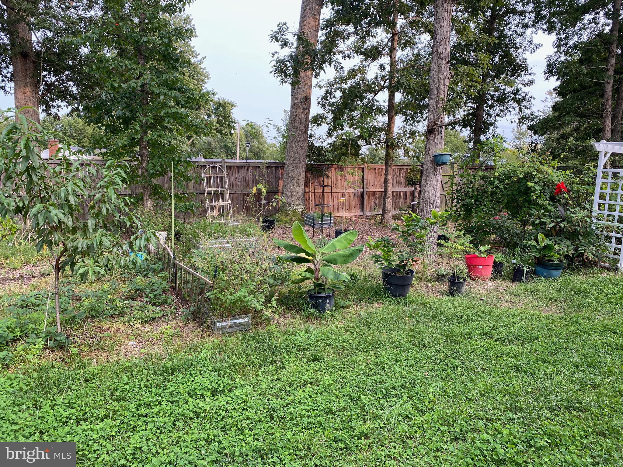 17108 Madrillon Way Accokeek, MD 20607 - Photo 4 of 33 a view of a backyard