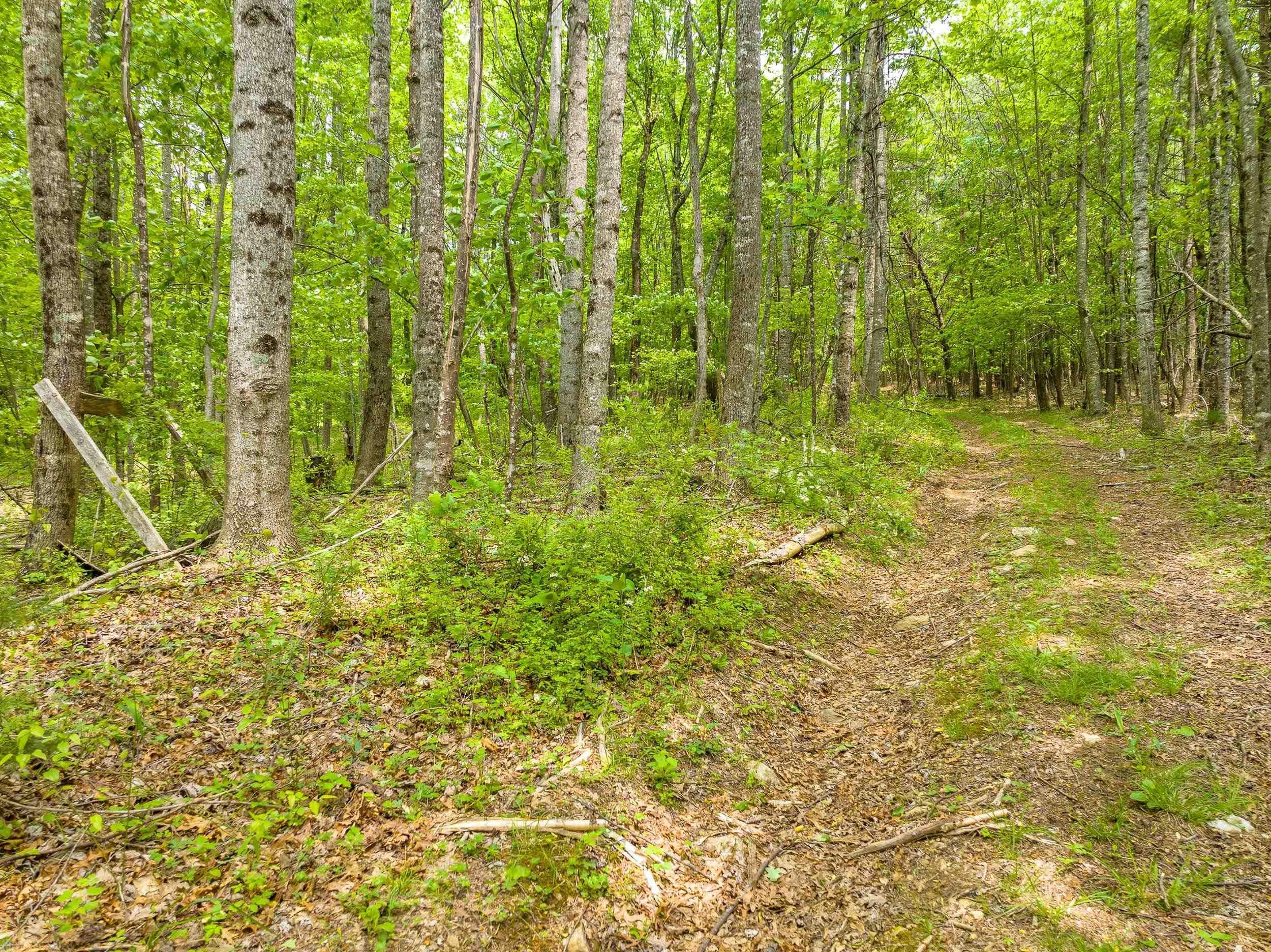 Tbd Apache Road Woodlawn, VA 24381 - Photo 19 of 48 Gallery Image 19