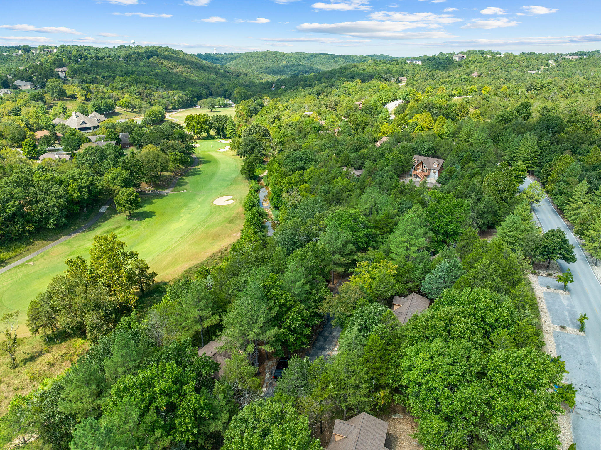 72 Lost Creek Circle, Unit 8 Reeds Spring, MO 65737 - Photo 53 of 82 DJI_0395