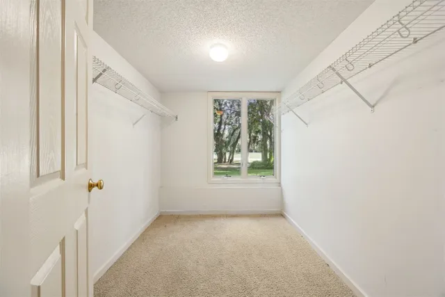 a view of yard with trees