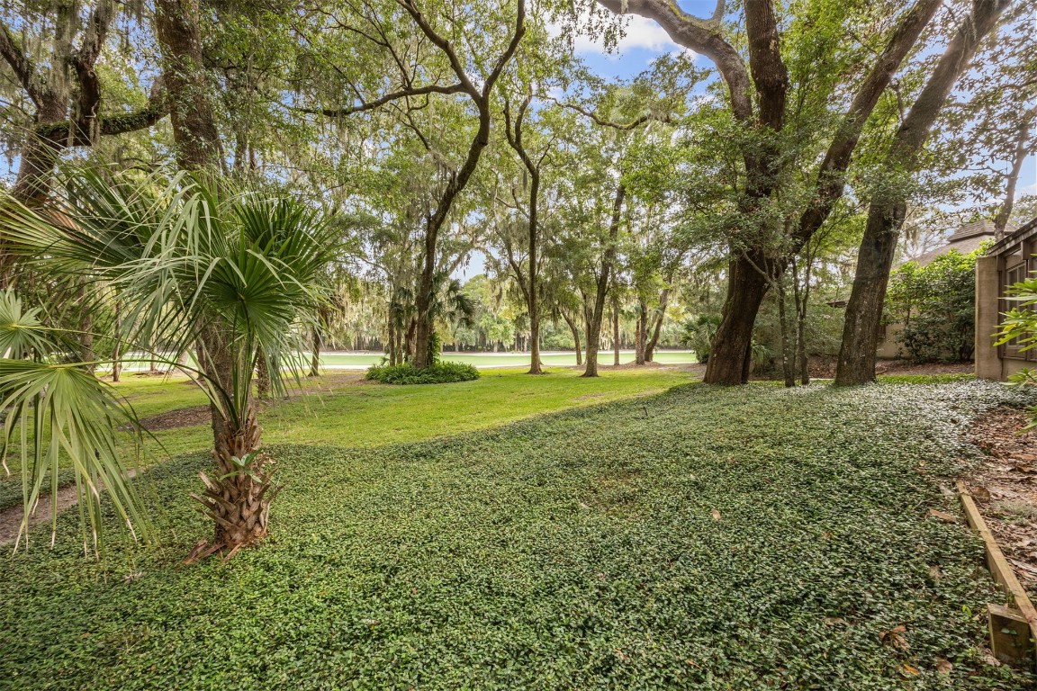 3316 Sea Marsh Road, Unit 3316 Fernandina Beach, FL 32034 - Photo 20 of 38 a view of grassy field with trees