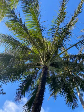 $1,299,000 | 700 Honopou Road, Unit 700 HONOPOU RD, Haiku, HI 96708