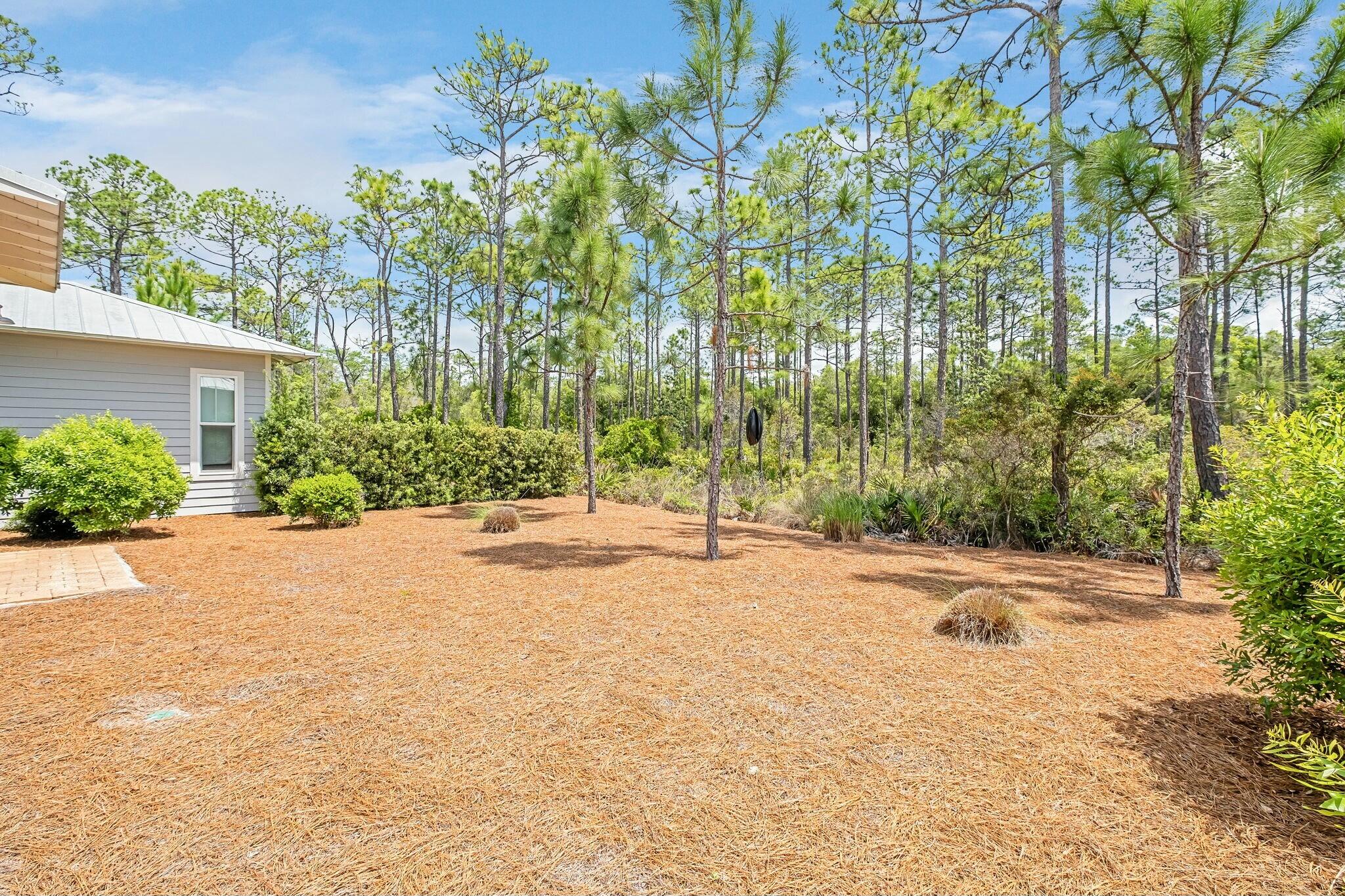 116 Prairie Pass Santa Rosa Beach, FL 32459 - Photo 31 of 59 front view of a house with a yard and potted plants