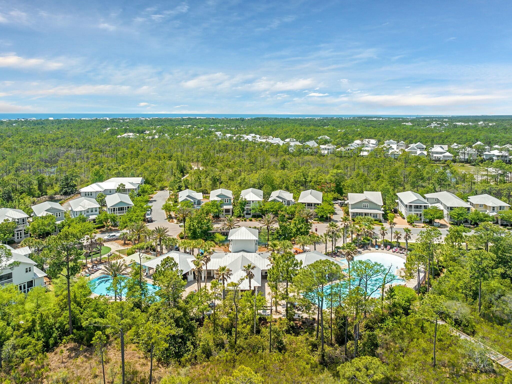 116 Prairie Pass Santa Rosa Beach, FL 32459 - Photo 40 of 59 a view of yard with ocean view