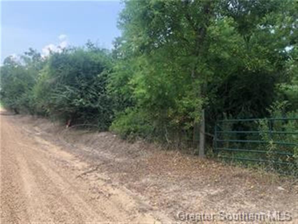 0 Connie Road Welsh, LA 70591 - Photo 2 of 3