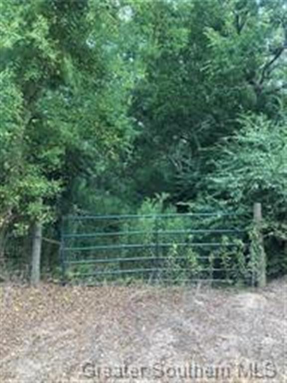 0 Connie Road Welsh, LA 70591 - Photo 3 of 3