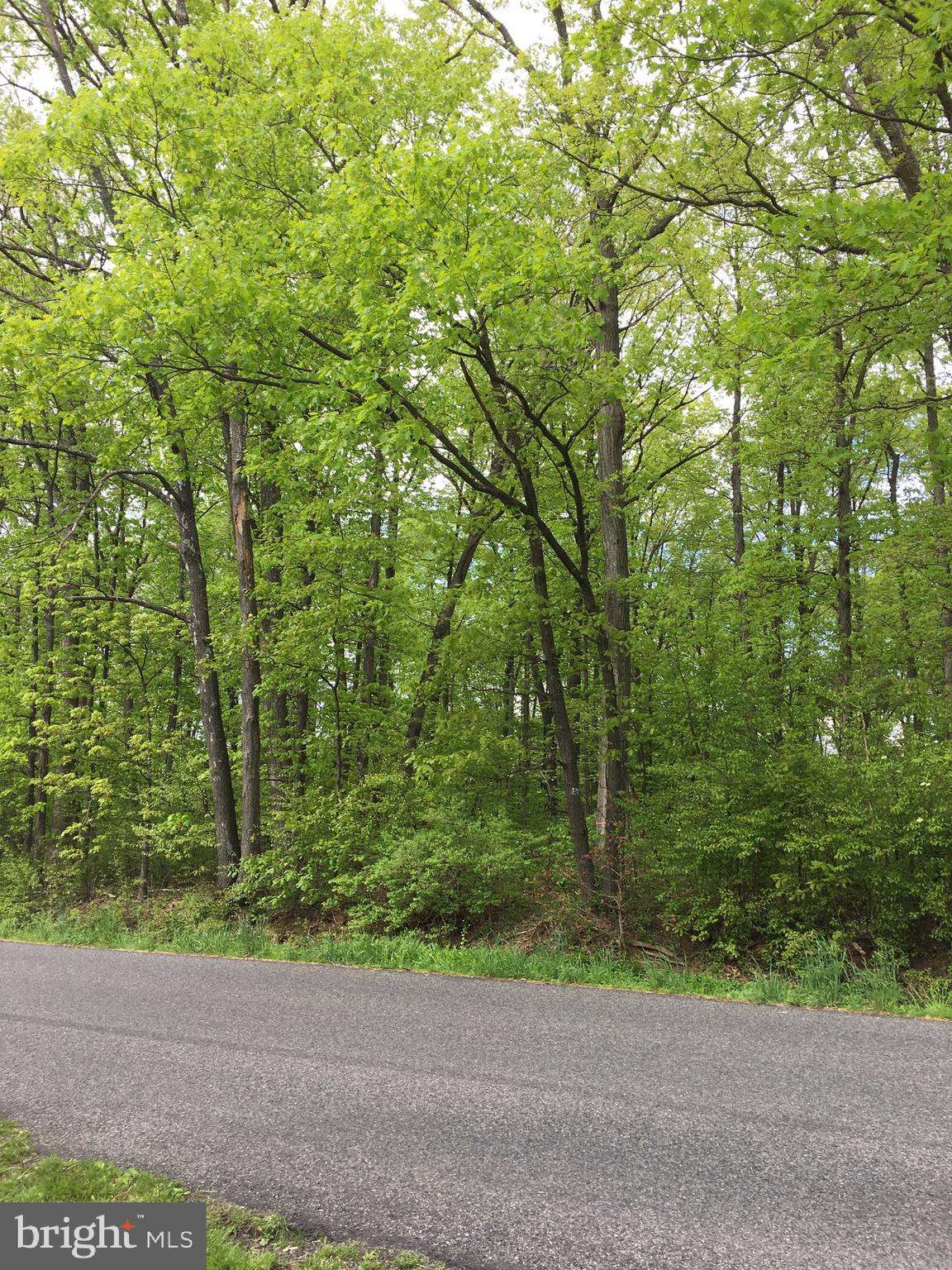 0 Log Cabin Road Perkasie, PA 18944 - Photo 1 of 4 Gallery Image 1