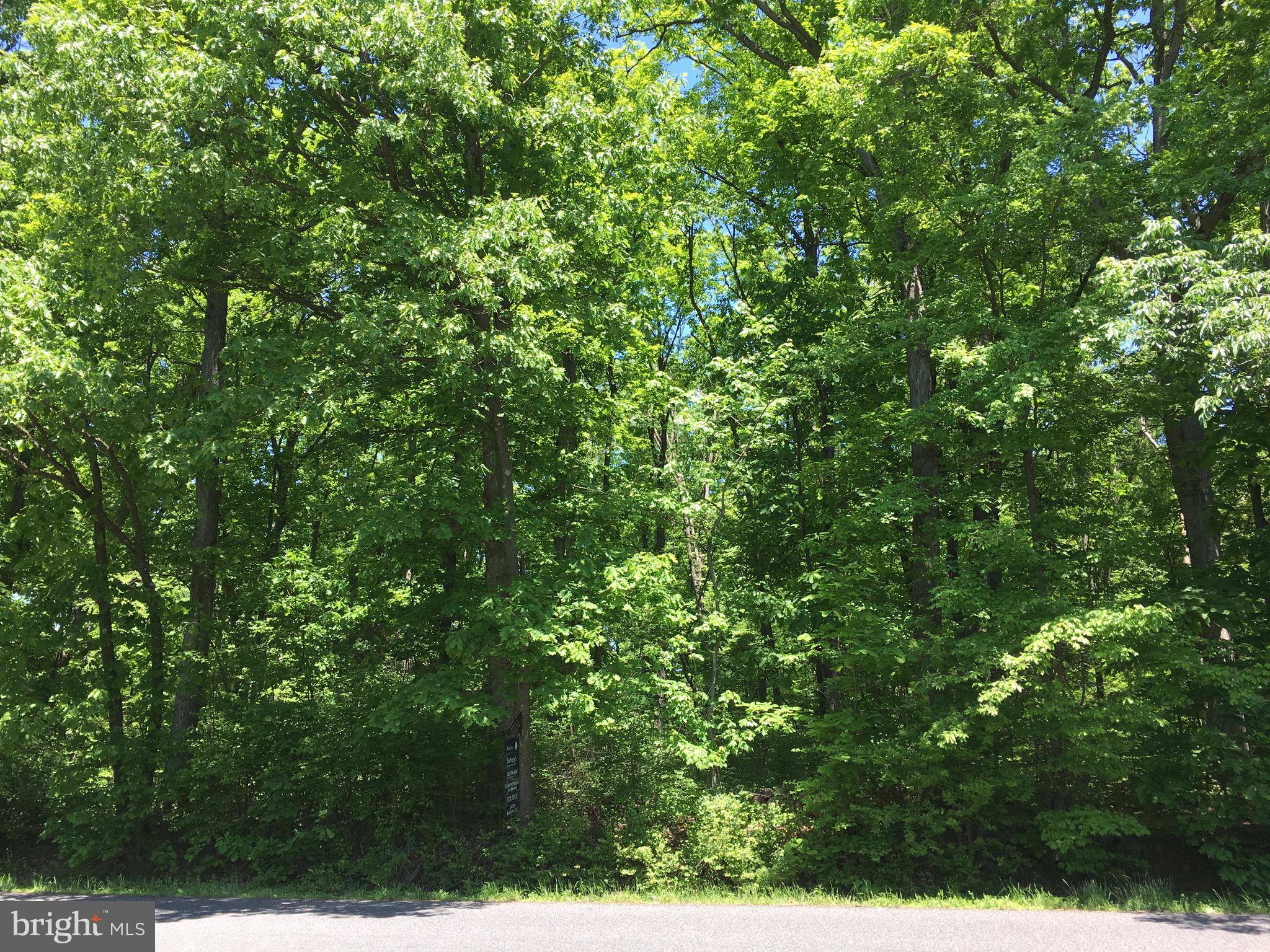 0 Log Cabin Road Perkasie, PA 18944 - Photo 2 of 4 Gallery Image 2