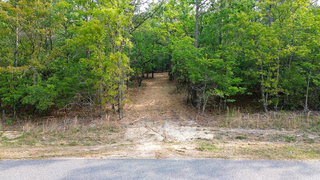0 Mt Zion Road, Unit 3 Trenton, SC 29847 - Photo 26 of 26