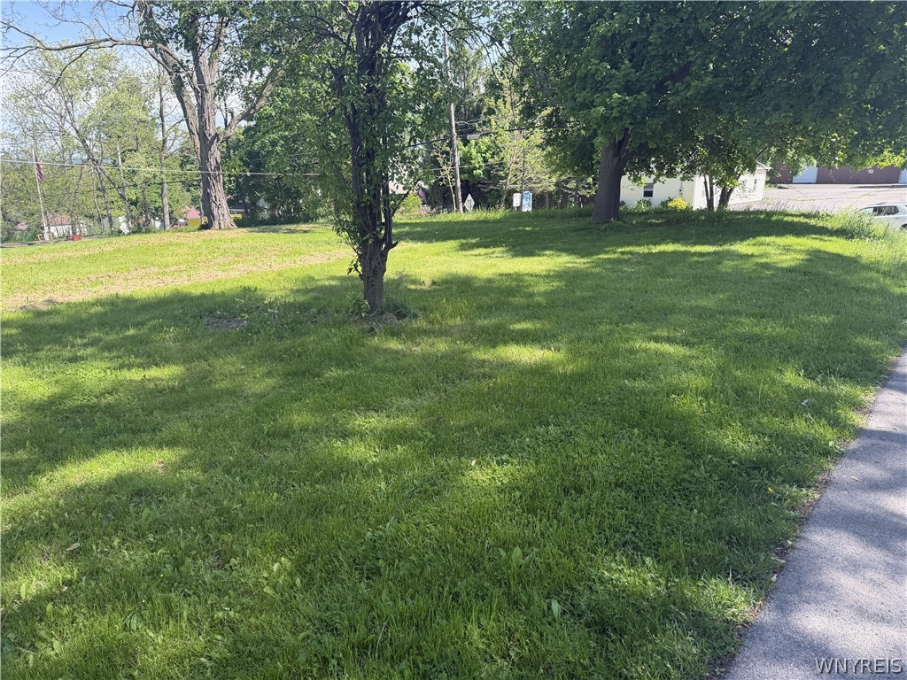 2379 Leicester Road Leicester, NY 14481 - Photo 15 of 22 Yard