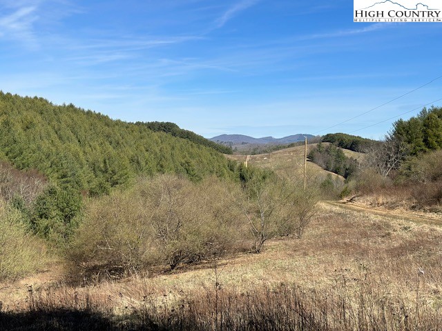 a view of a dry yard