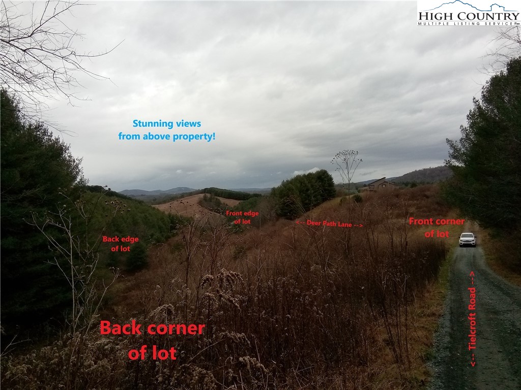 Lot 104 Deer Path Road Crumpler, NC 28617 - Photo 11 of 26