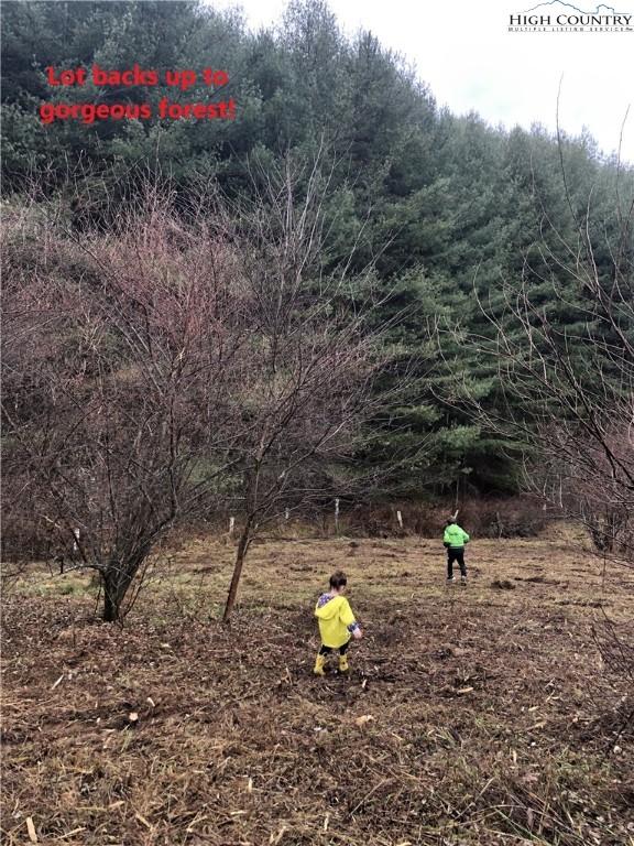 Lot 104 Deer Path Road Crumpler, NC 28617 - Photo 13 of 26 a view of a ground with large trees