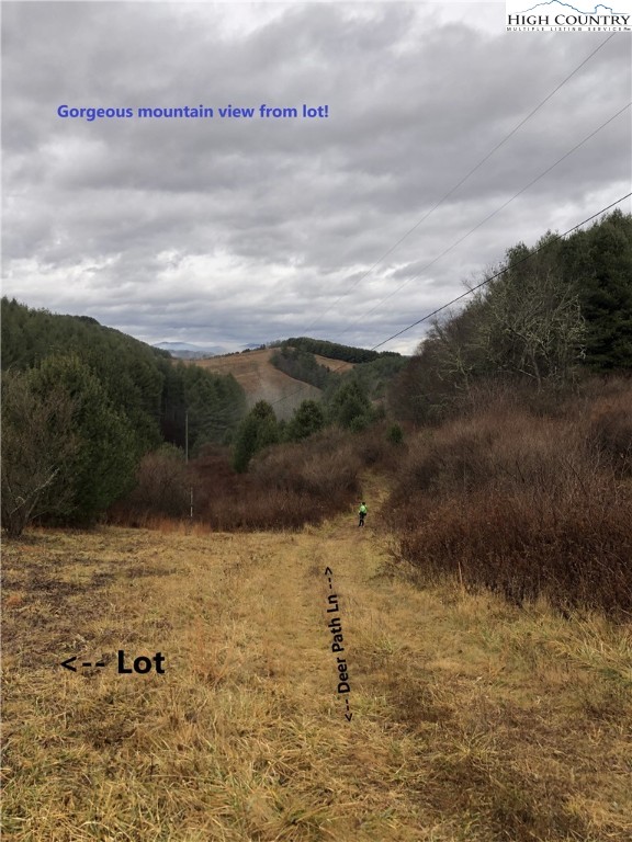 Lot 104 Deer Path Road Crumpler, NC 28617 - Photo 14 of 26 a view of a lake view