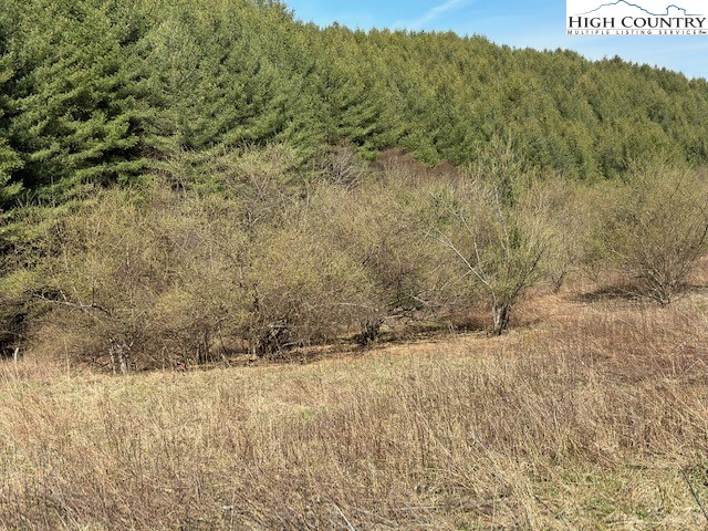 Lot 104 Deer Path Road Crumpler, NC 28617 - Photo 18 of 26 a view of mountain view