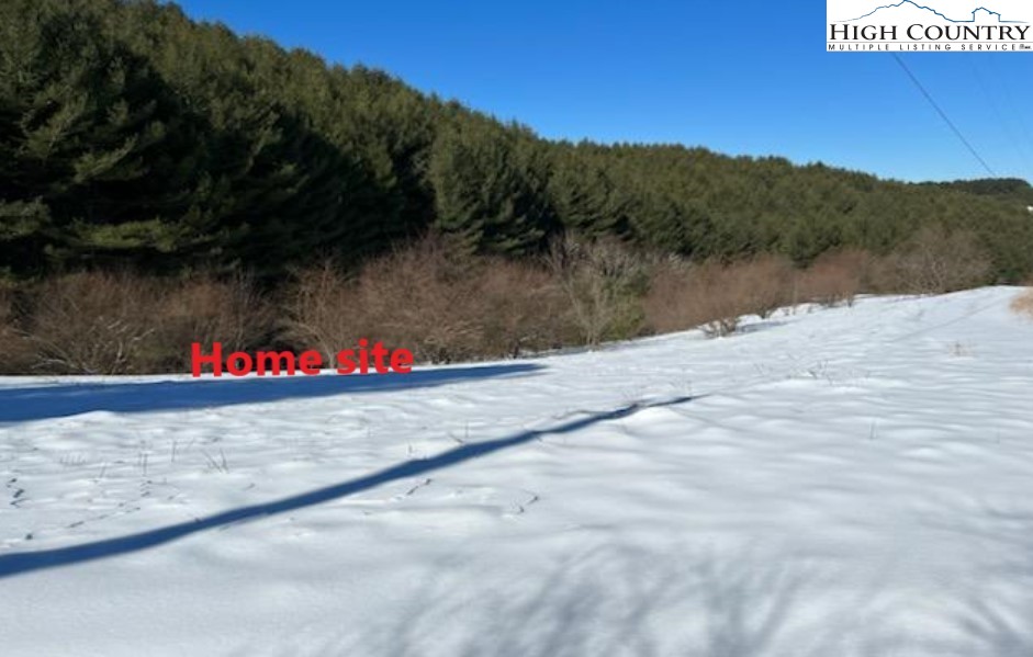 Lot 104 Deer Path Road Crumpler, NC 28617 - Photo 20 of 26 a view of street