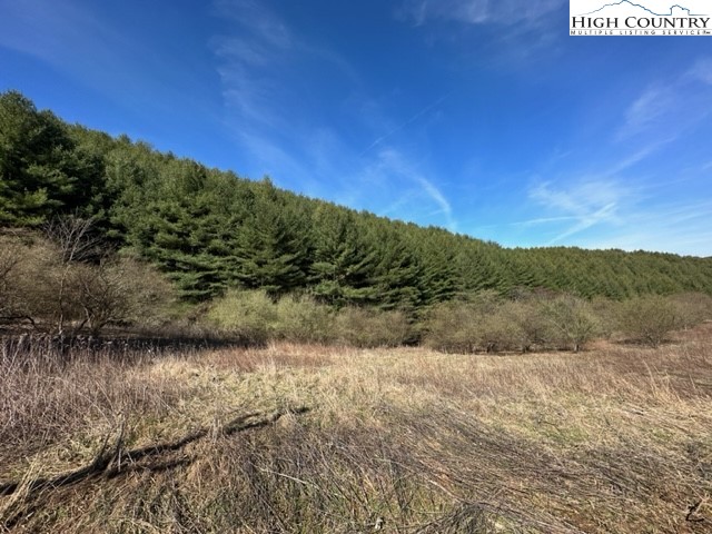Lot 104 Deer Path Road Crumpler, NC 28617 - Photo 2 of 26 a view of lake with mountain