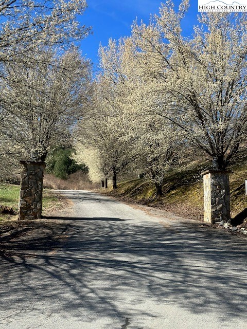 Lot 104 Deer Path Road Crumpler, NC 28617 - Photo 24 of 26 a view of a yard with street