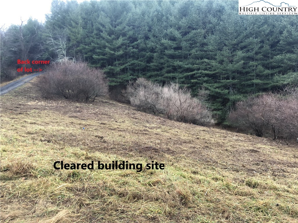 Lot 104 Deer Path Road Crumpler, NC 28617 - Photo 3 of 26 a view of a pathway of a park