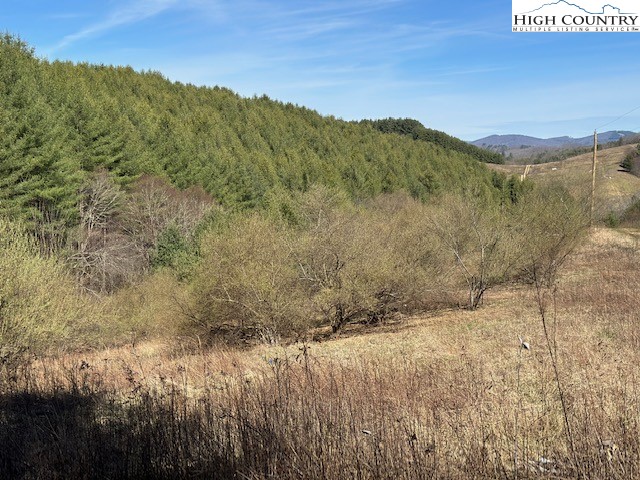 Lot 104 Deer Path Road Crumpler, NC 28617 - Photo 8 of 26 a view of a dry yard