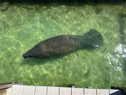 $889,000 | 1100 Pinellas Bayway South, Unit G2, Tierra Verde, FL 33715