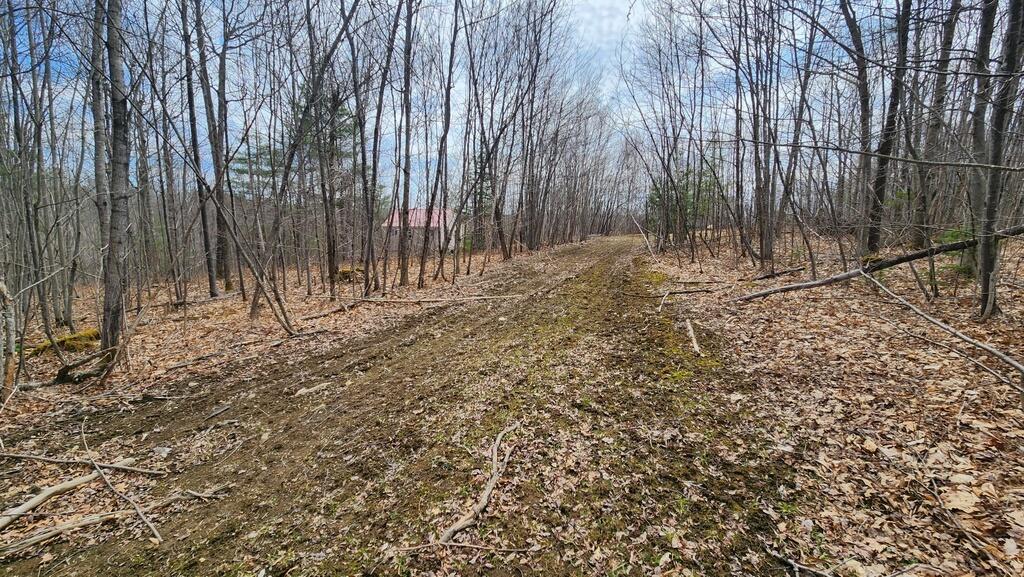 Lot 28 Adams Road Chesterville, ME 04938 - Photo 26 of 37 20250425_121219_resized_1