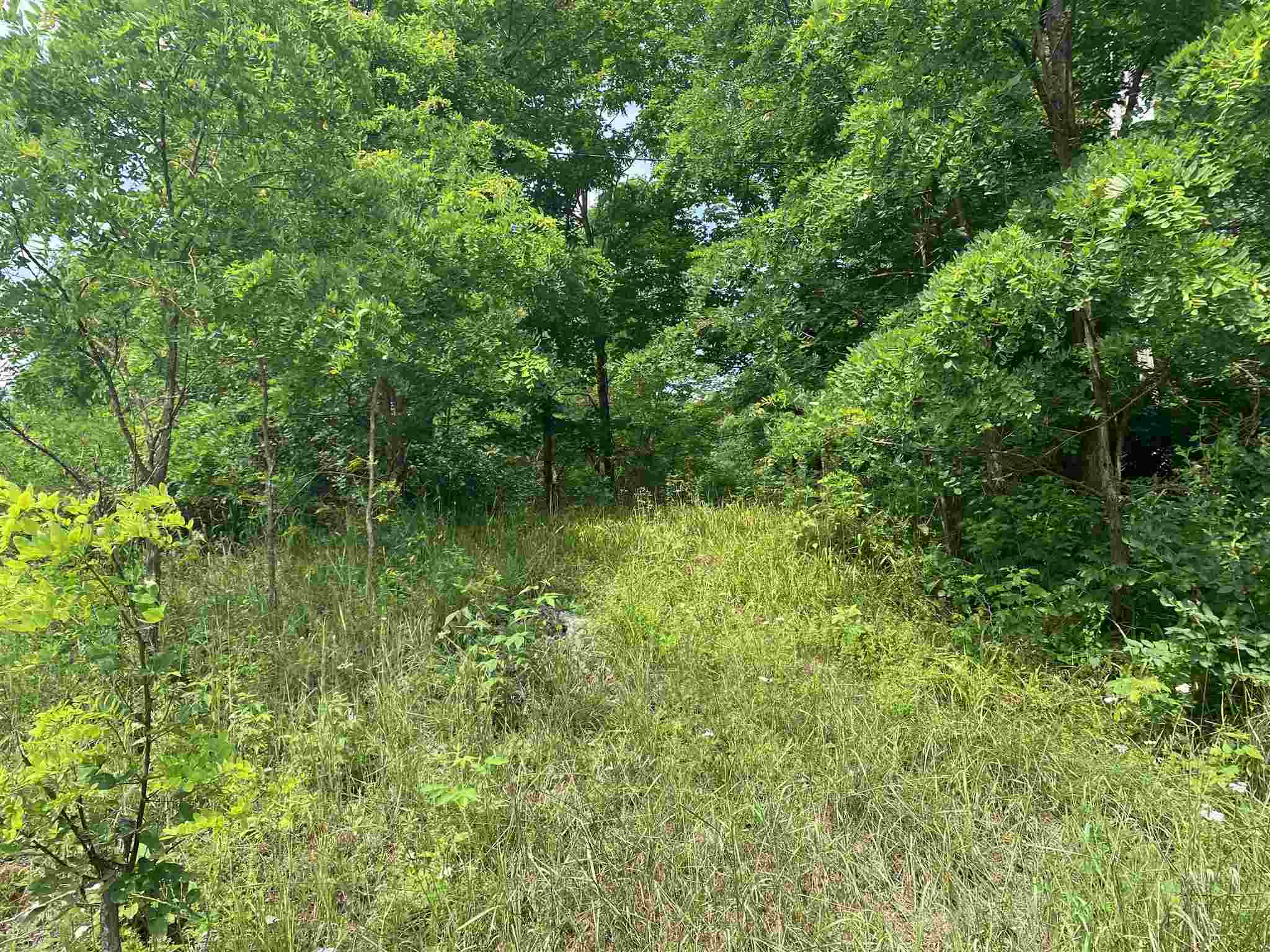 1661 Lewis Road Poultney, VT 05764 - Photo 4 of 7