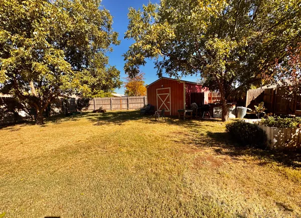 a view of a yard with trees in the background