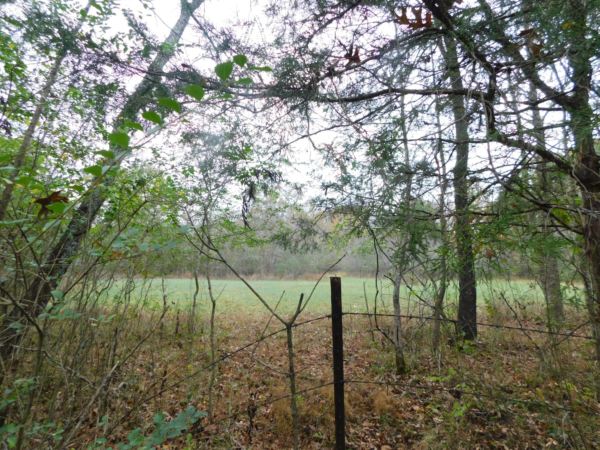1101 B Hidden Cove Road Gallatin, TN 37066 - Photo 25 of 49 Gallery Image 25