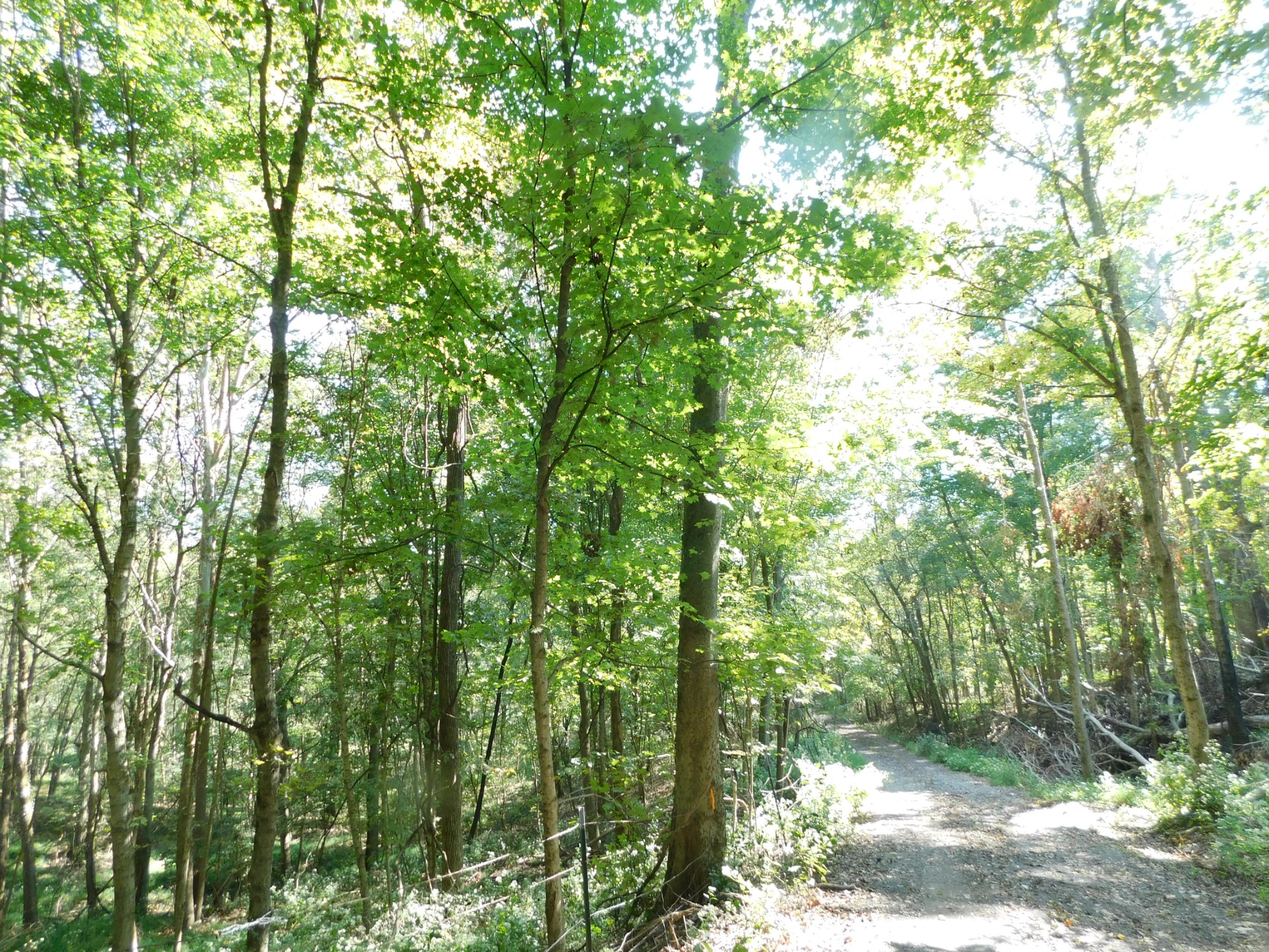 1101 B Hidden Cove Road Gallatin, TN 37066 - Photo 3 of 49 Gallery Image 3